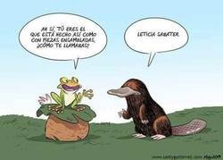 Enlace a Un nombre apropiado