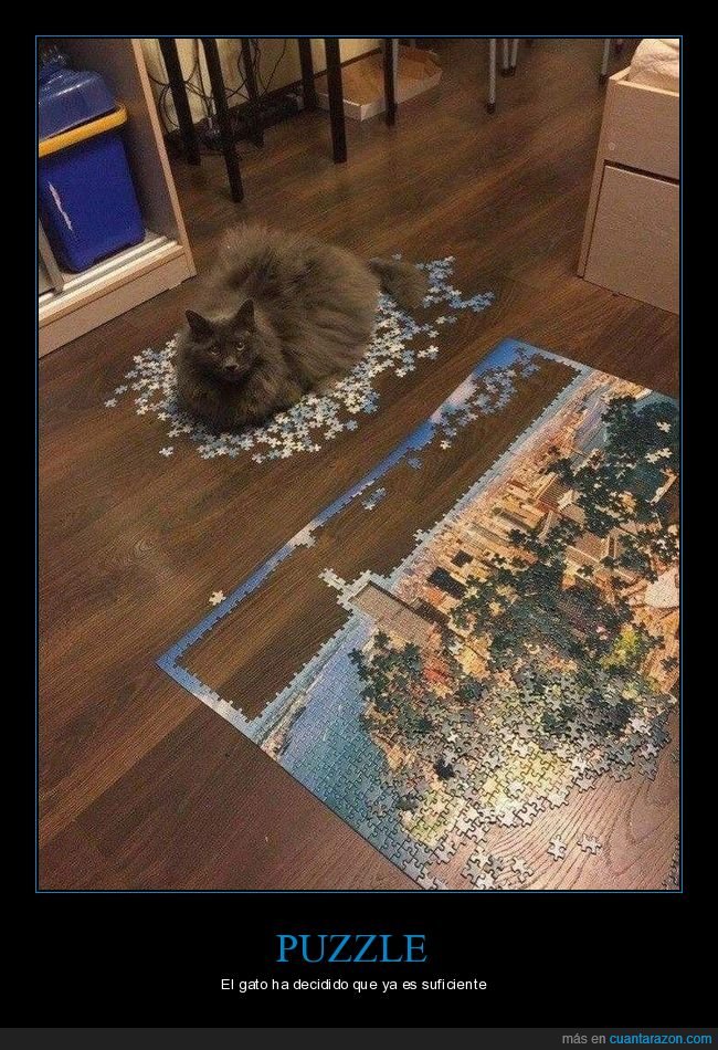 gatos,puzzle,piezas