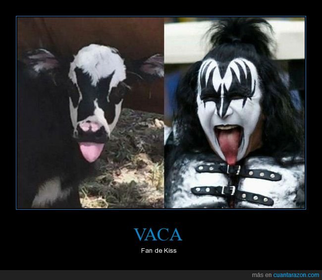 vaca,kiss,parecidos