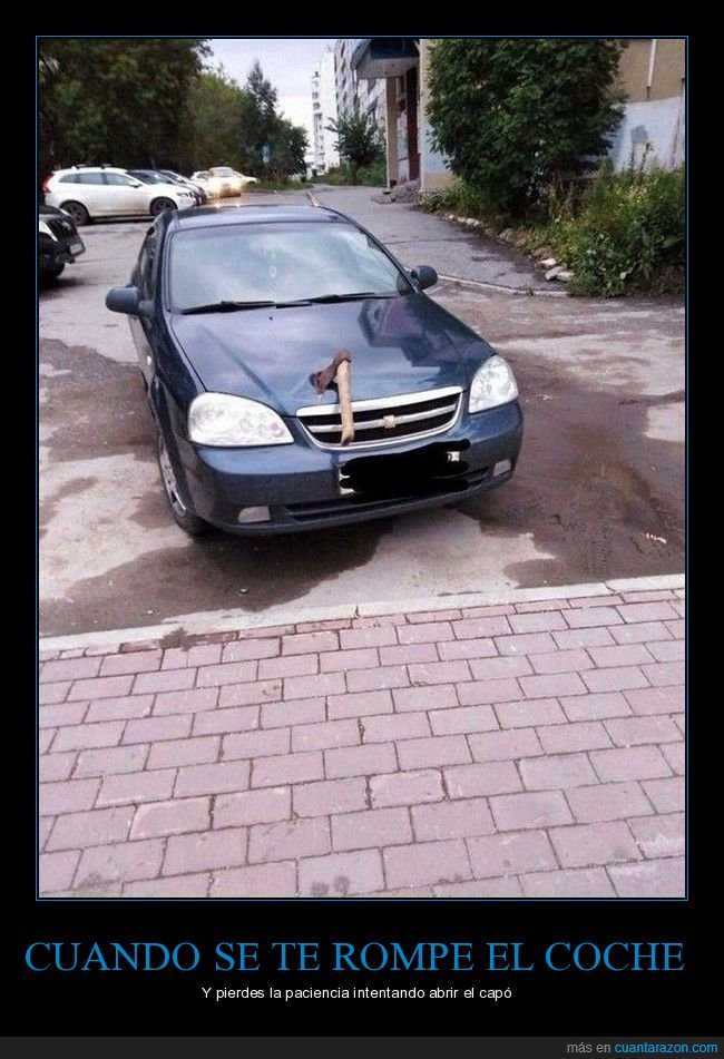 coche,hacha,capó,wtf
