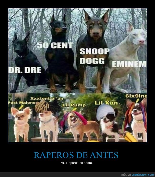raperos,antes,ahora,perros