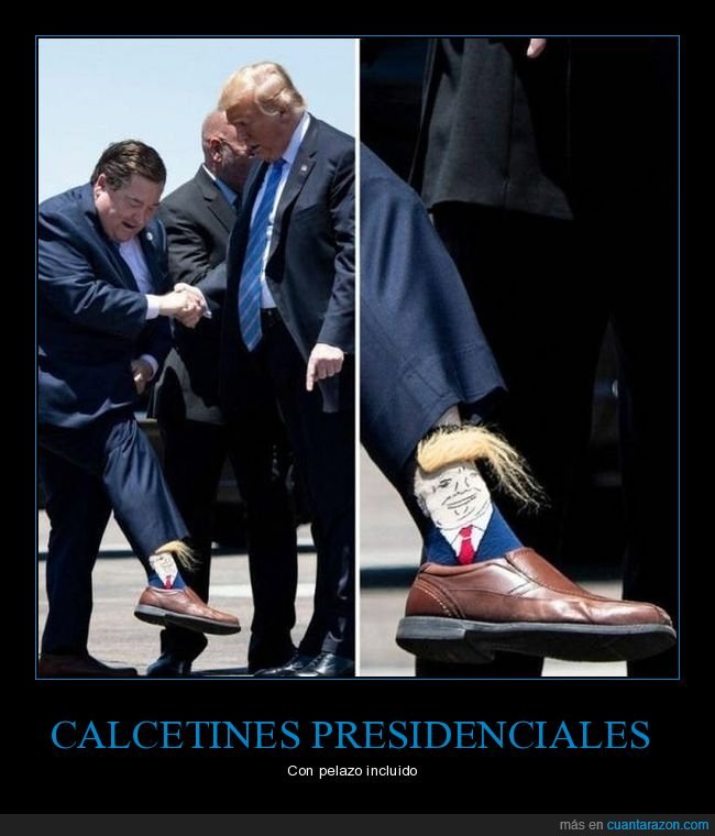 calcetines,donald trump,pelo,políticos