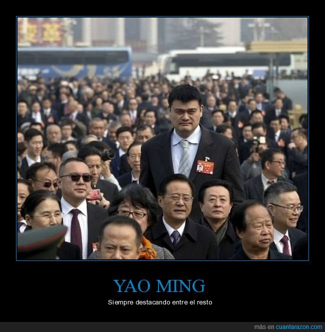 yao ming,destacando,estatura
