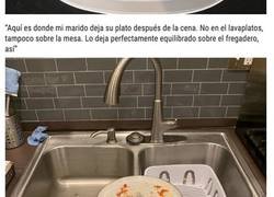 Enlace a Pruebas de que los hombres saben cómo tratar los asuntos domésticos con ingenio