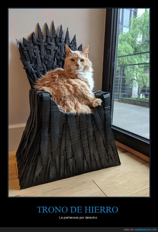 gatos,trono de hierro,juego de tronos