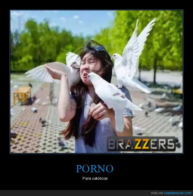 católicos,palomas,absurdo