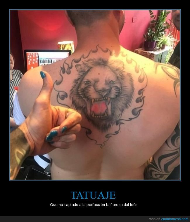 león,tatuaje,fails