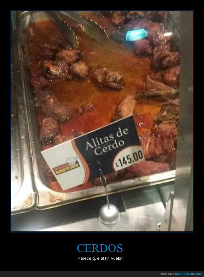alitas,cerdo,wtf
