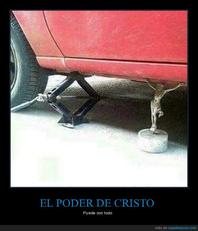 gato,coche,cristo,wtf