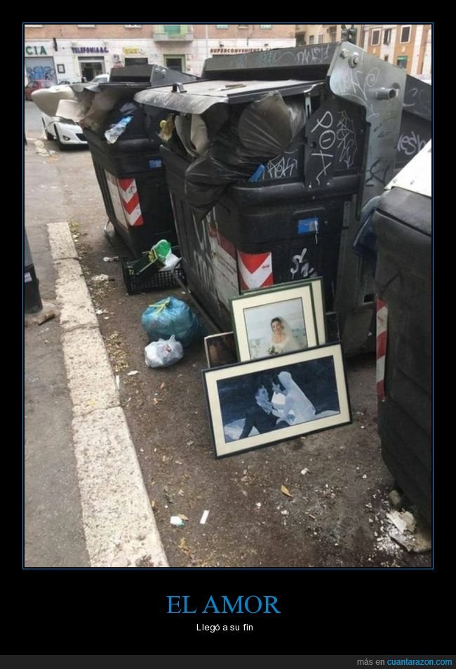 contenedor,basura,fotos,boda,wtf