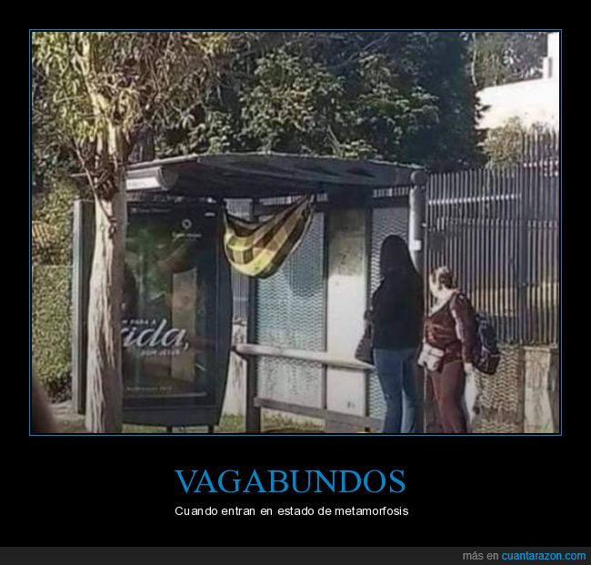 vagabundo,metamorfosis,parada de autobús,wtf