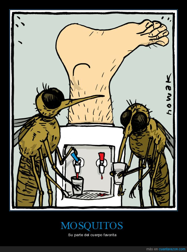 mosquitos,pie,sangre