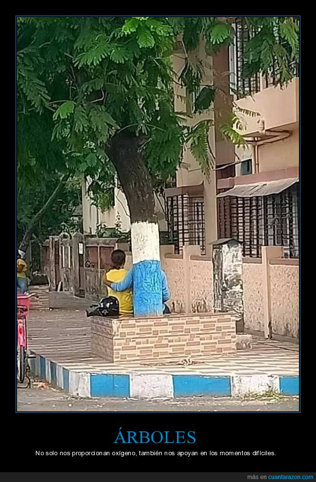 árbol,apoyando,mindfuck