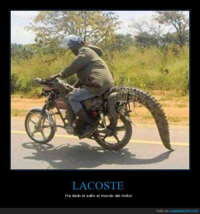 moto,cocodrilo,wtf
