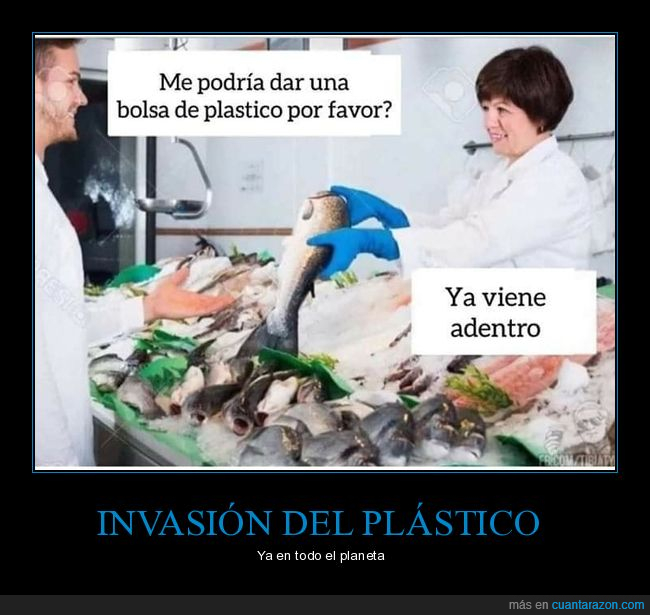 pescado,bolsa,plástico,pescadería