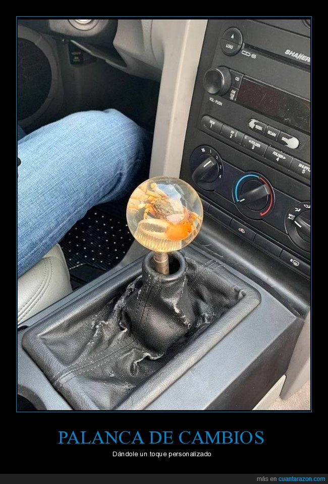 palanca de cambios,coche,cangrejo,wtf