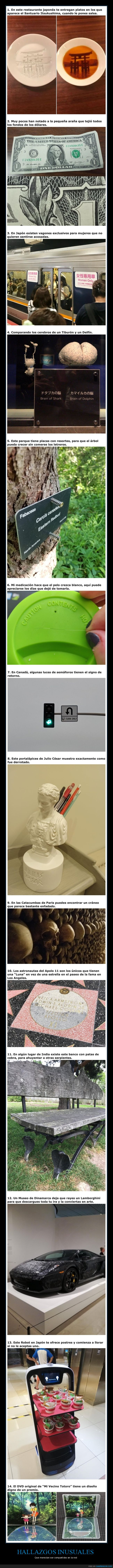 hallazgos,inusuales,wtf