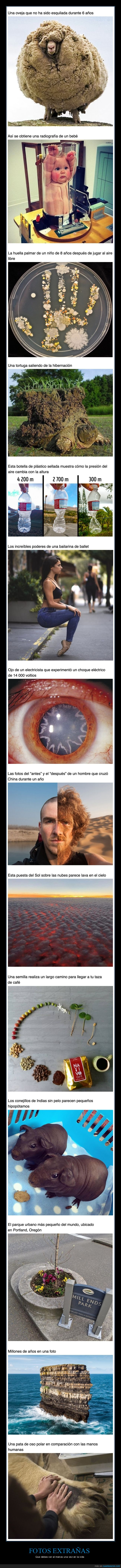 fotos extrañas,curiosidades
