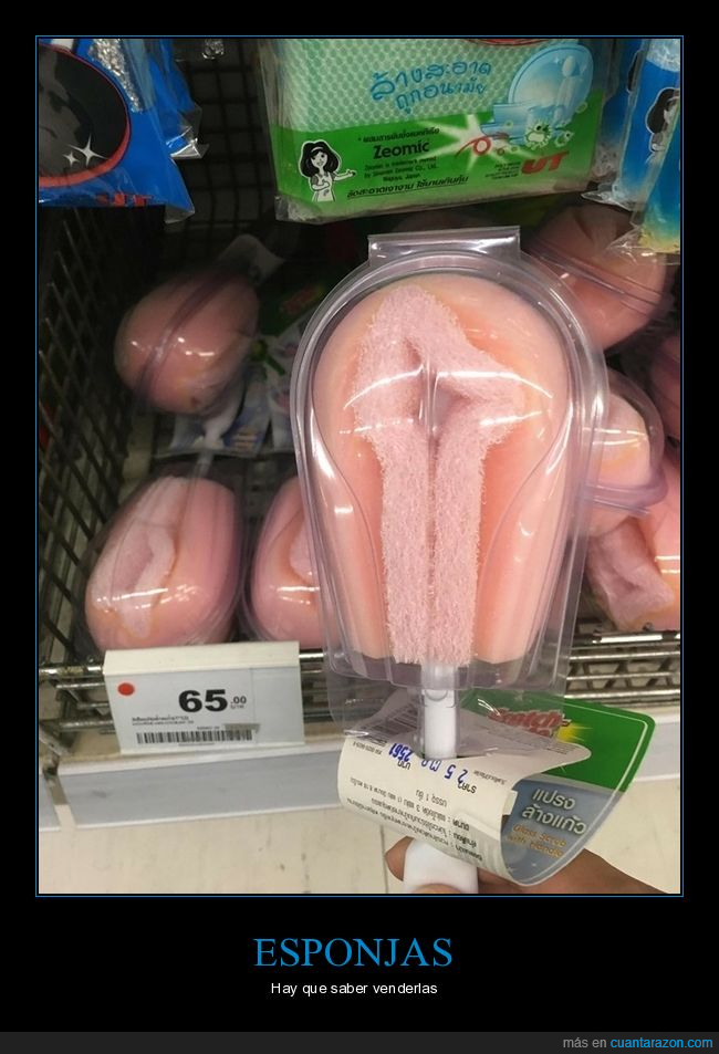 esponja,wtf