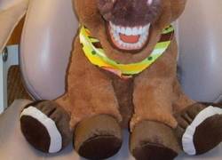 Enlace a Peluches de clínicas odontológicas pediátricas que se aparecerán en tus pesadillas