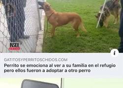 Enlace a Llamando a John Wick