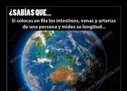 Enlace a Dato de interés