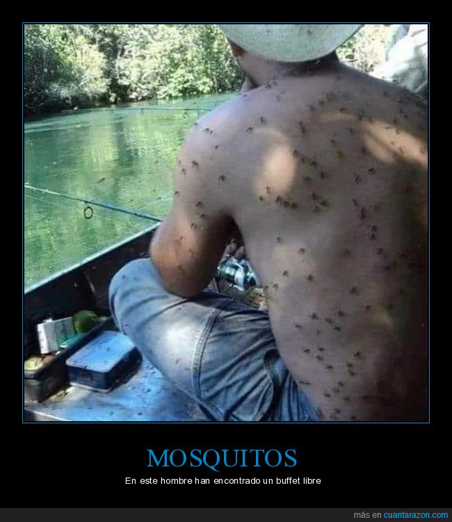 mosquitos,buffet libre,wtf