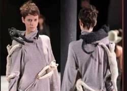 Enlace a A la loca de los gatos le encanta