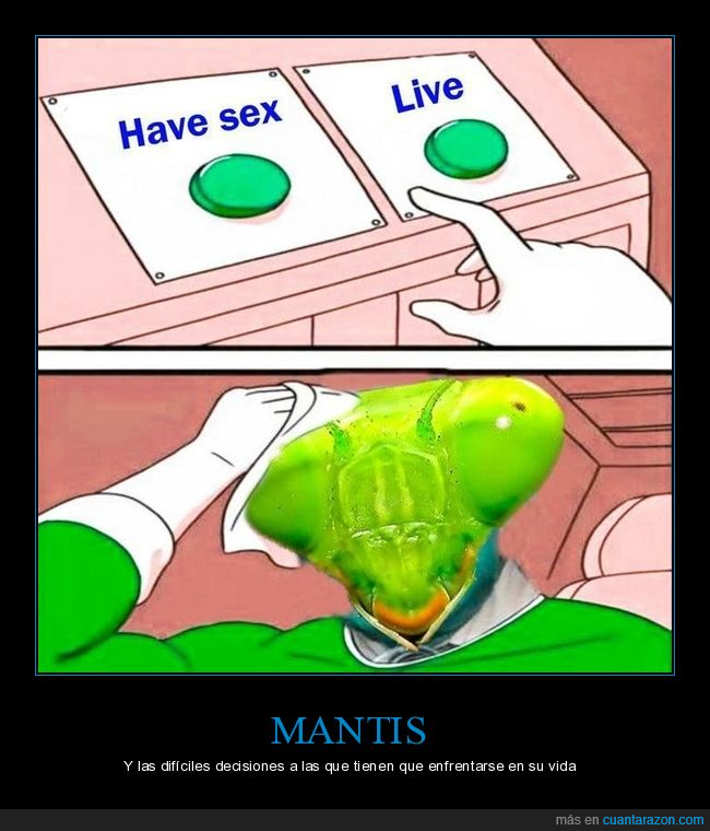 sexo,vivir,mantis