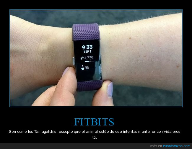 fitbit,tamagotchi,animal,mantener con vida,tú