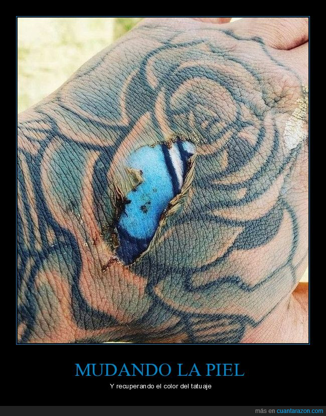 piel,mudando,tatuaje