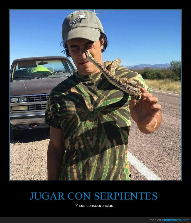 serpiente,mordisco,fail