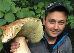 Enlace a ¿Cerca de Chernobyl?