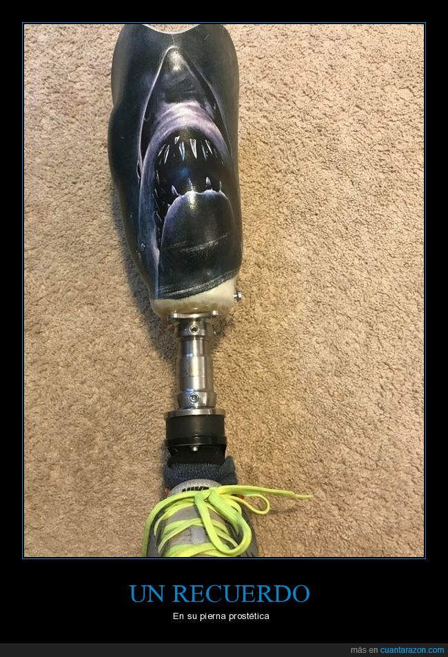 recuerdo,pierna prostética,tiburón