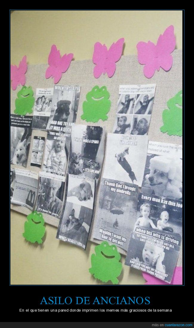 asilo,pared,memes