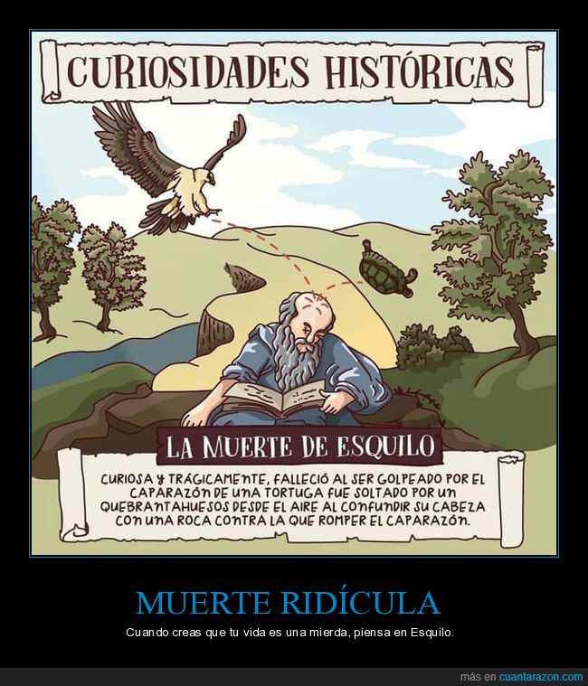 esquilo,muerte,tortuga,quebrantahuesos,confundir,cabeza,calvo,roca,curiosidades
