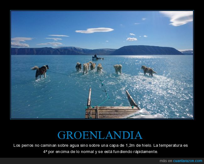 groenlandia,hielo,perros,cambio climático