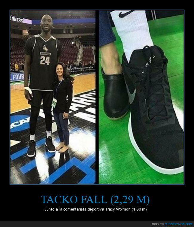 tacko fall,tracy wolfson,estatura,pies,comparativa
