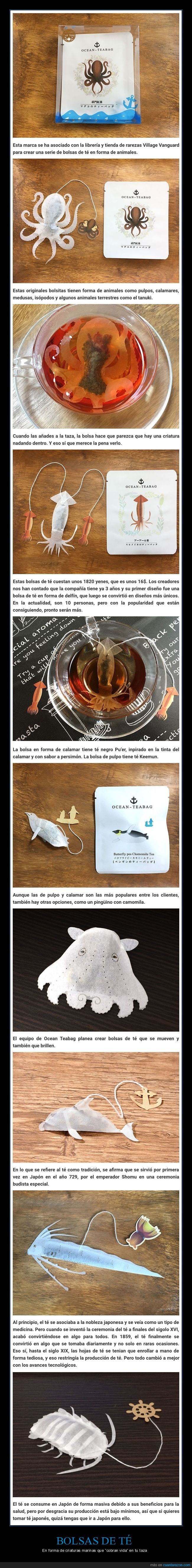 bolsas de té,criaturas marinas,formas