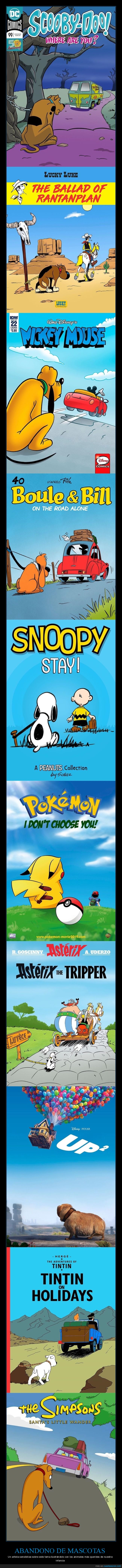 abandono,mascotas,animales