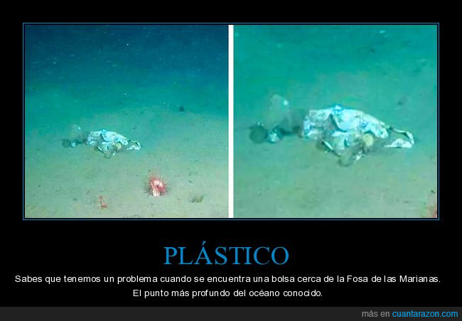 plástico,bolsa,fosa de las marianas,wtf