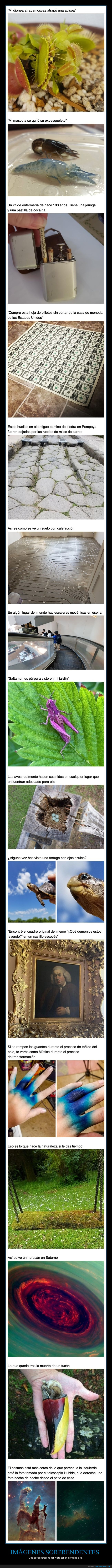 curiosidades,sabías que