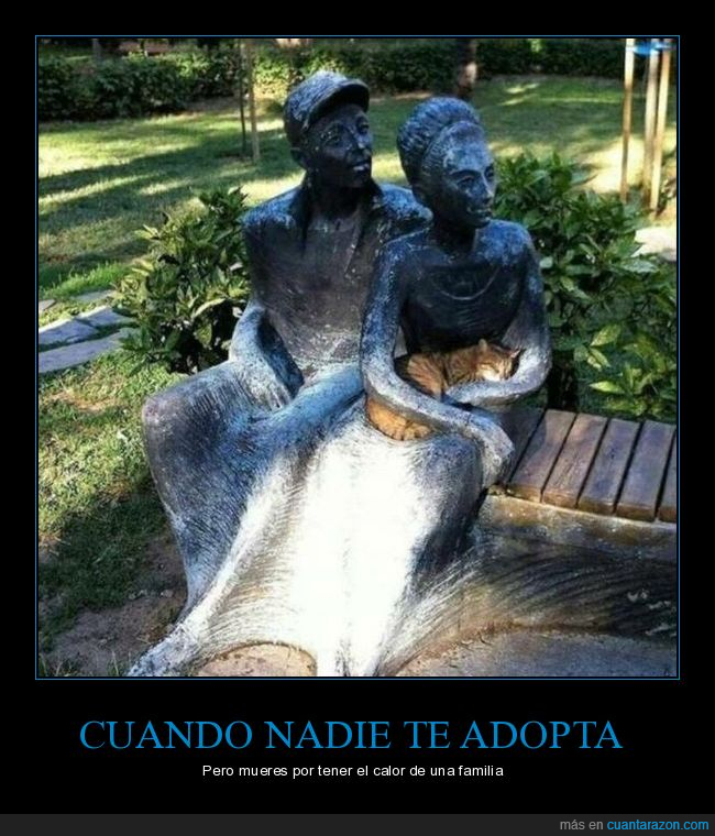 estatua,gatos,wtf