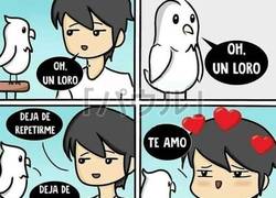 Enlace a Maldito loro...