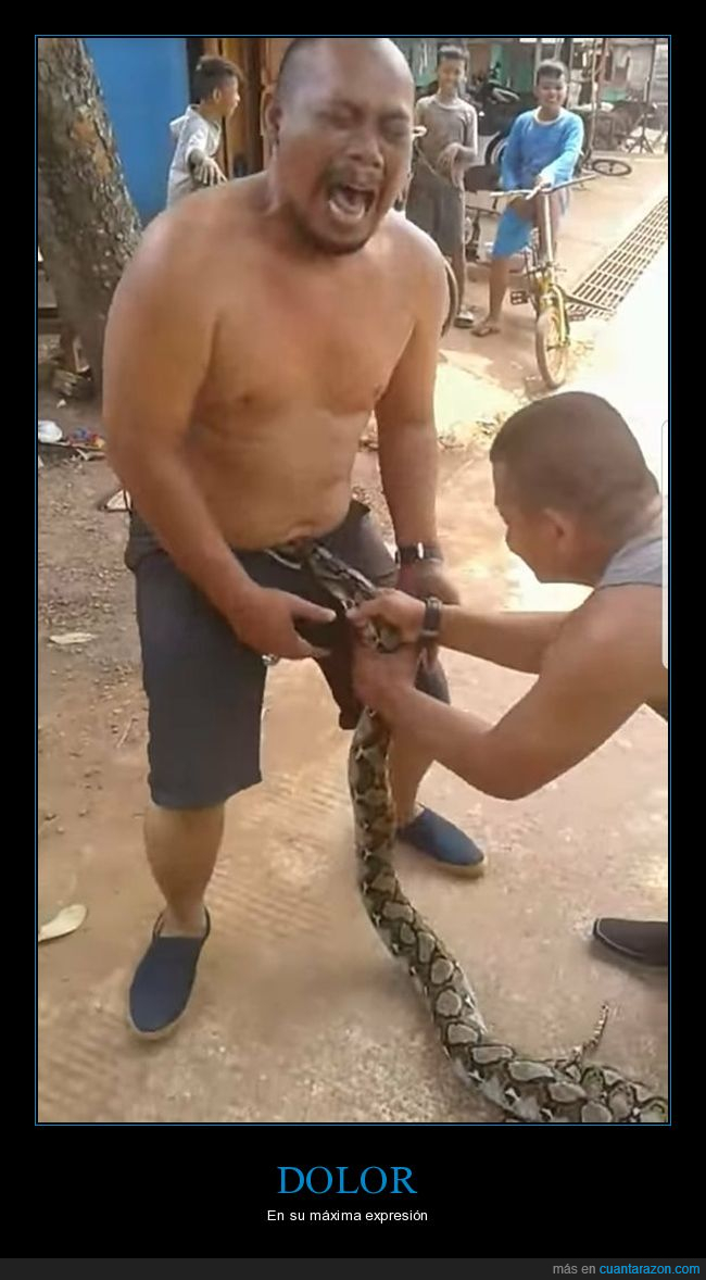 serpiente,mordisco,wtf