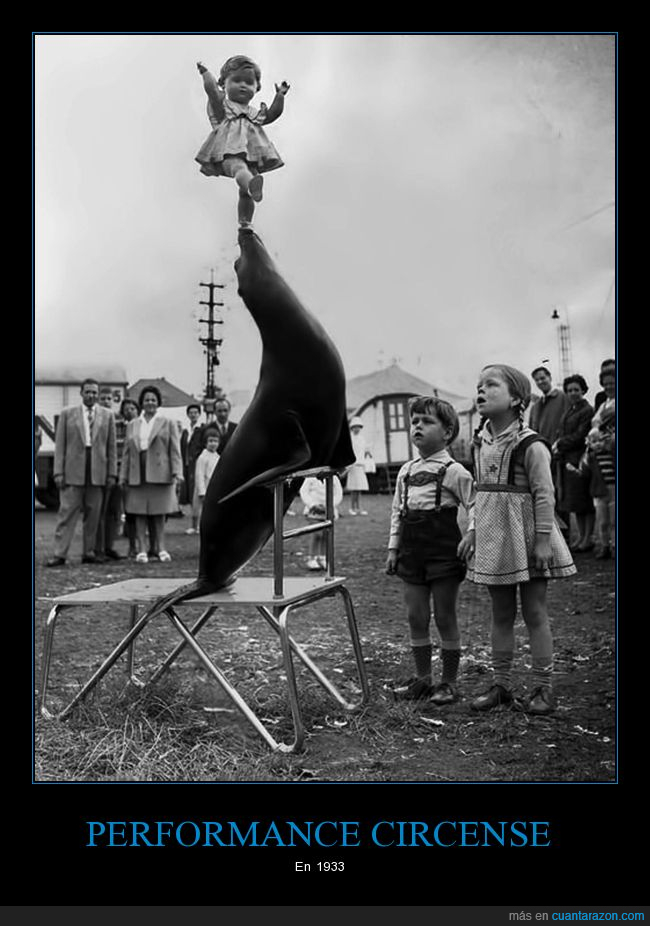 circo,foca,1933,retro