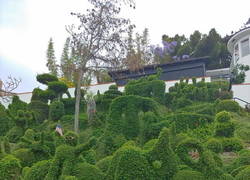 Enlace a Jardinero dedicado