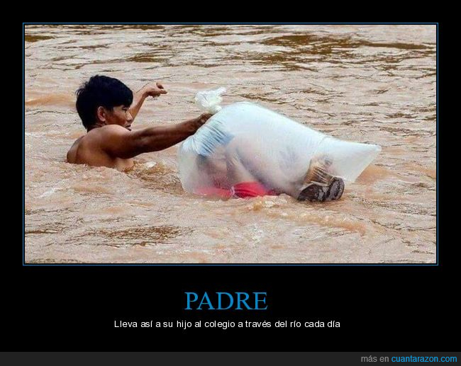 padre,hijo,colegio,río,bolsa,wtf