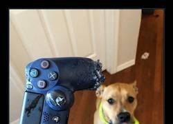 Enlace a Celos de la Play