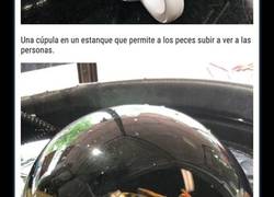 Enlace a Diseñadores que merecen un aumento por su gran creatividad